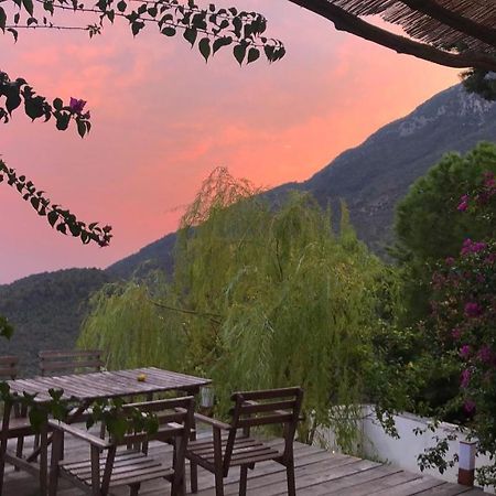 Bed and Breakfast Casa Flora В'єтрі Екстер'єр фото