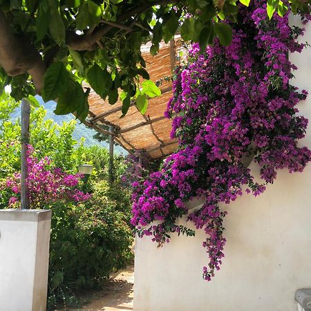 Bed and Breakfast Casa Flora В'єтрі Екстер'єр фото