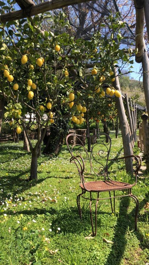 Bed and Breakfast Casa Flora В'єтрі Екстер'єр фото