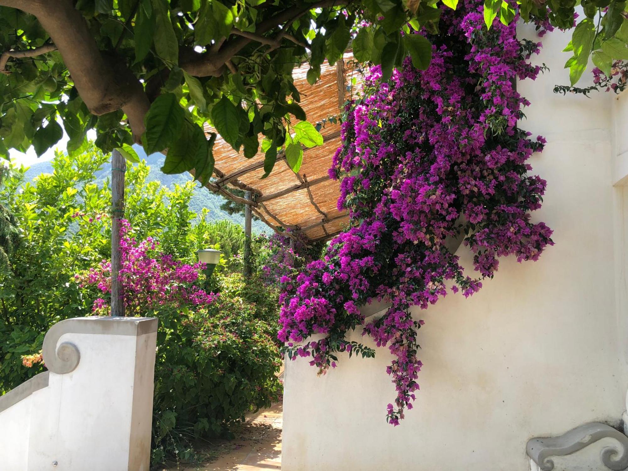 Bed and Breakfast Casa Flora В'єтрі Екстер'єр фото